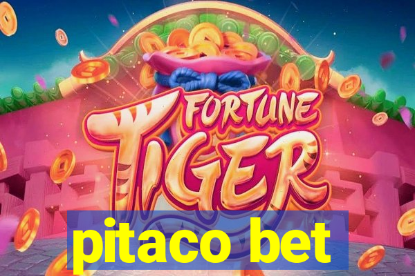 pitaco bet